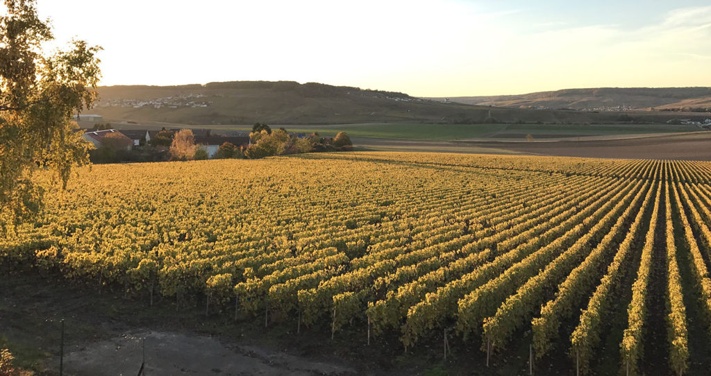 Pierre_Gimonnet_et_Fils_II